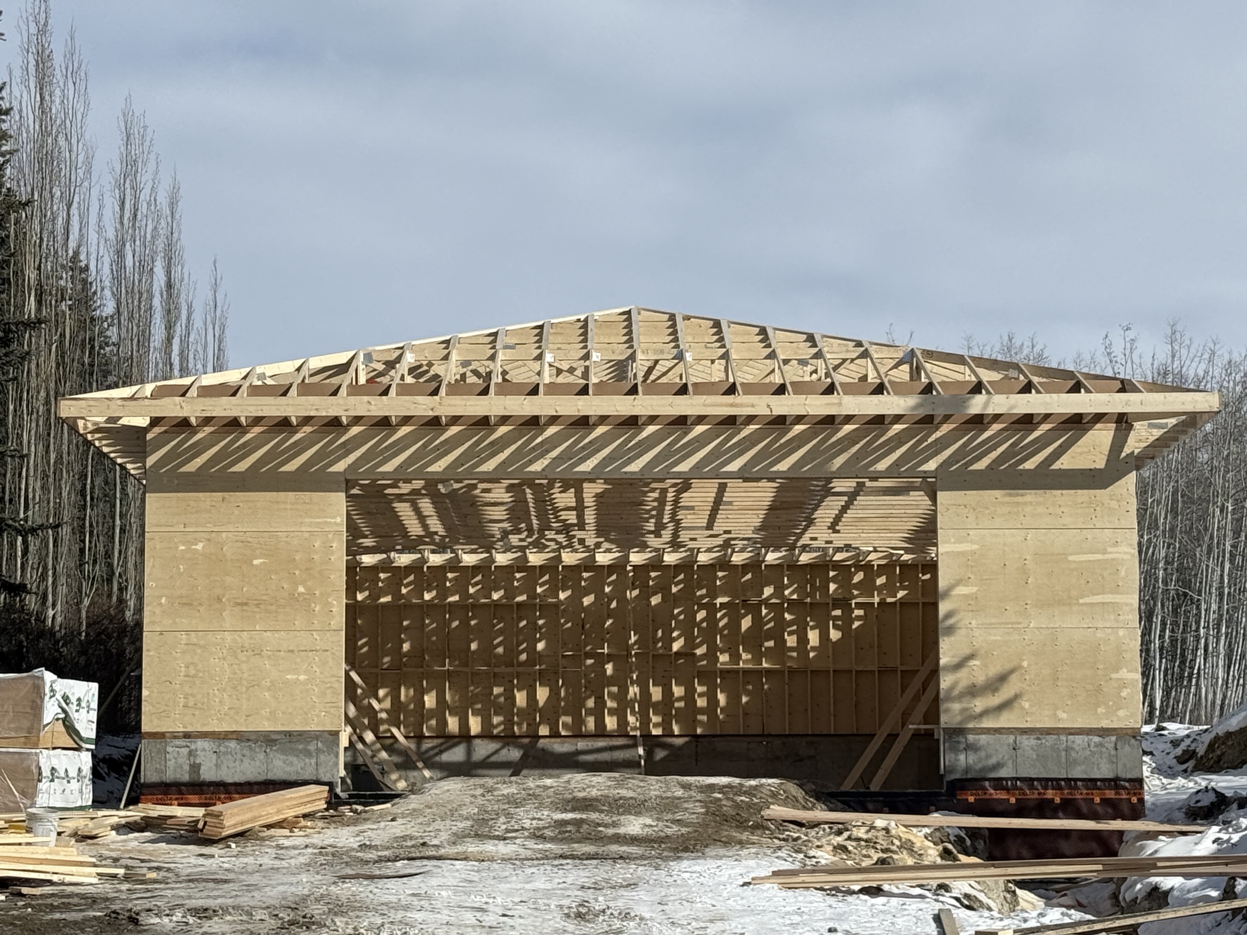 Garage framing project